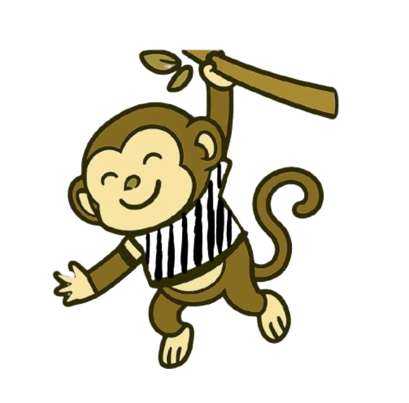Momo the monkey